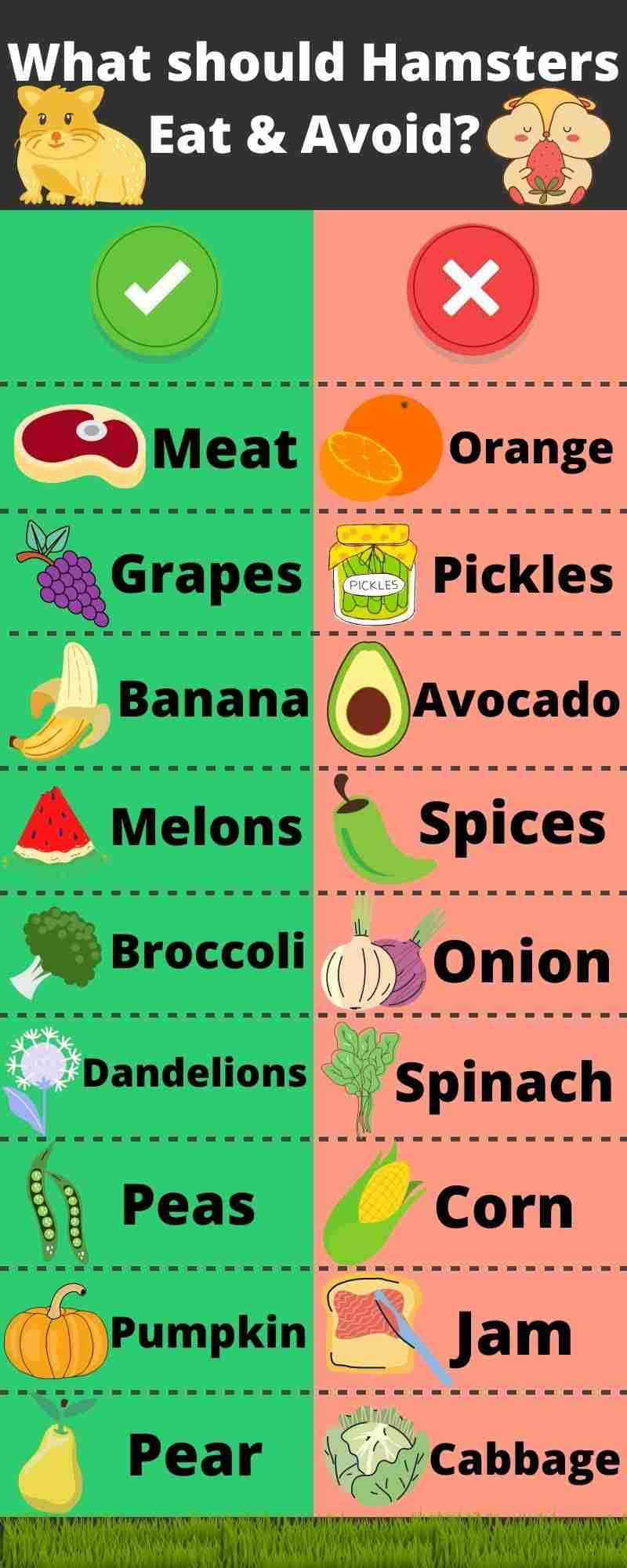 syrian hamster diet list