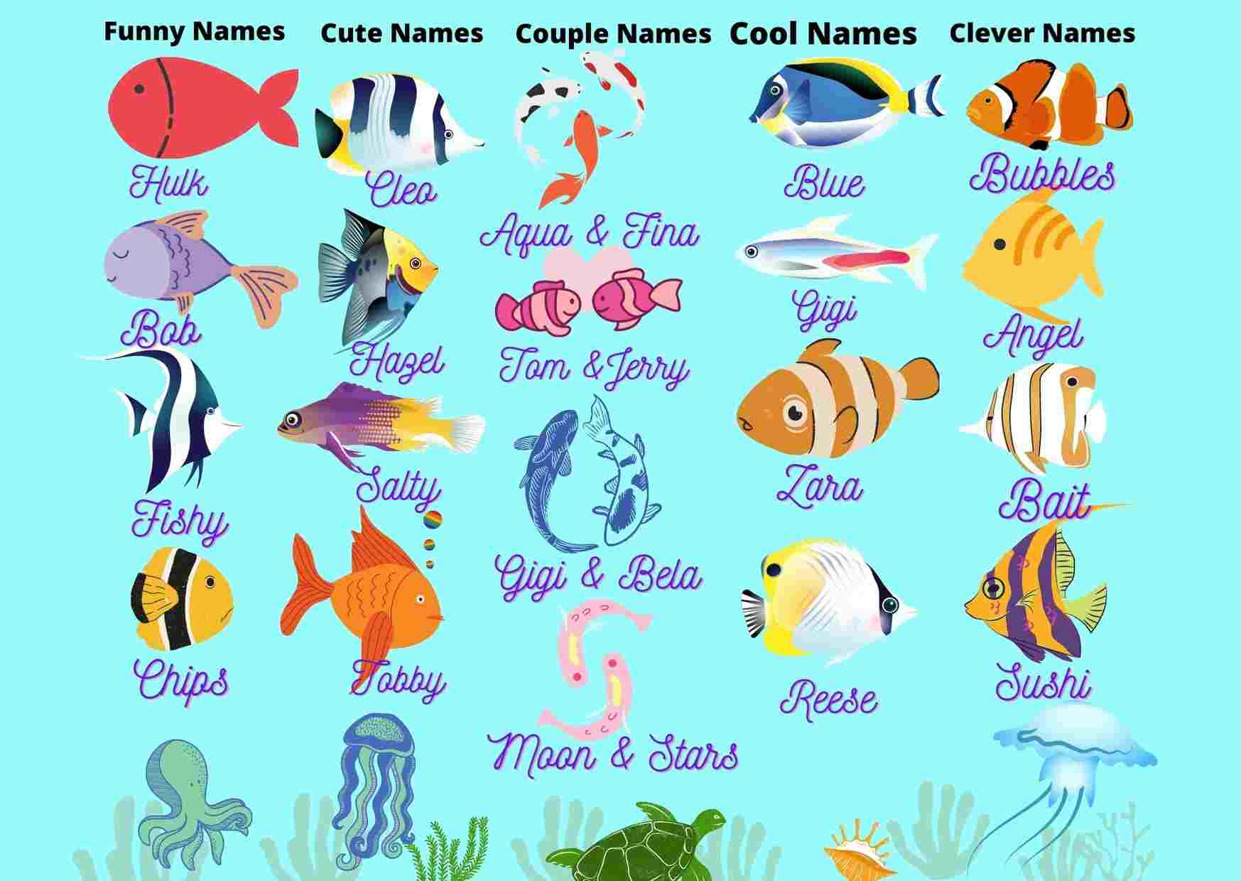 623 perfect names for pet fish best funny, cute fish names